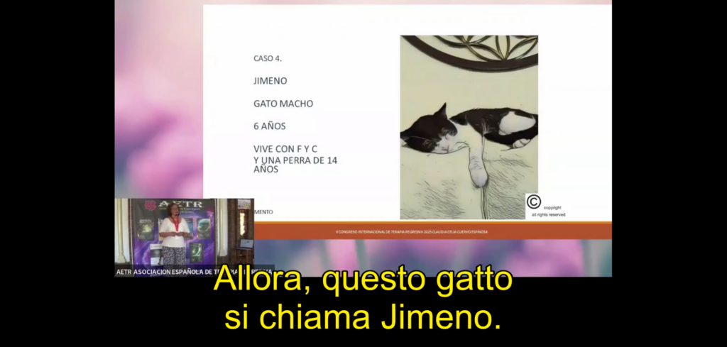 Relazione di Claudia Cuervo. Caso del gatto Jimeno. Voce in spagnolo con sottotitoli in italiano. Relazione di Claudia Cuervo. Caso del gatto Jimeno. Voce in spagnolo con sottotitoli in italiano.