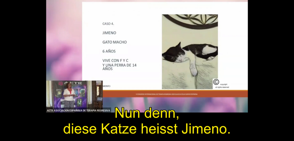 Vortrag von Claudia Cuervo. Der Fall des Katers Jimeno. Spanisch mit deutschen Untertiteln.